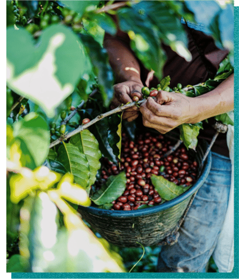 Guatemala, One Week to Wander, Black Tomato, Luxury Travel