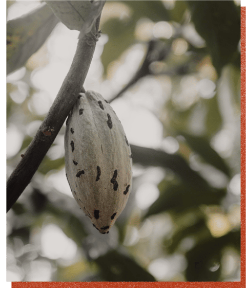 Costa Rica, One Week to Wander, Black Tomato, Luxury Travel