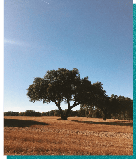 Portugal, One Week to Wander, Black Tomato, Luxury Travel