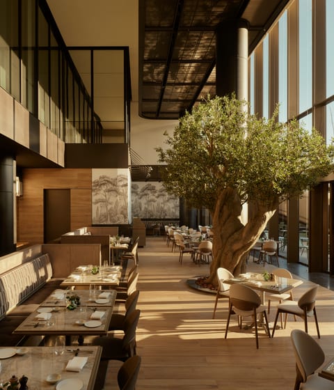 Mercato, Janu Tokyo
