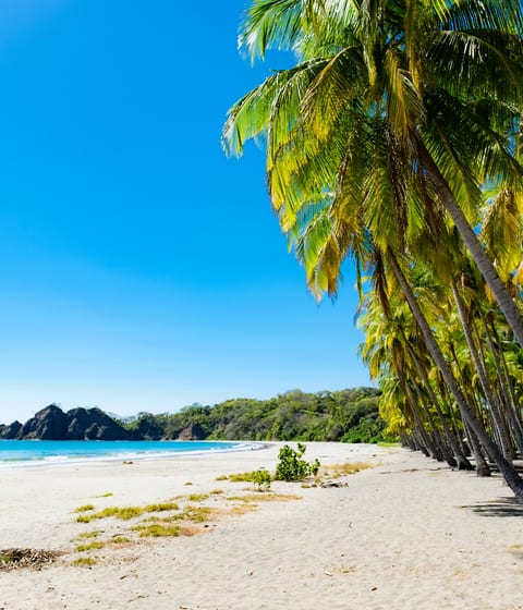 beach-in-costa-rica