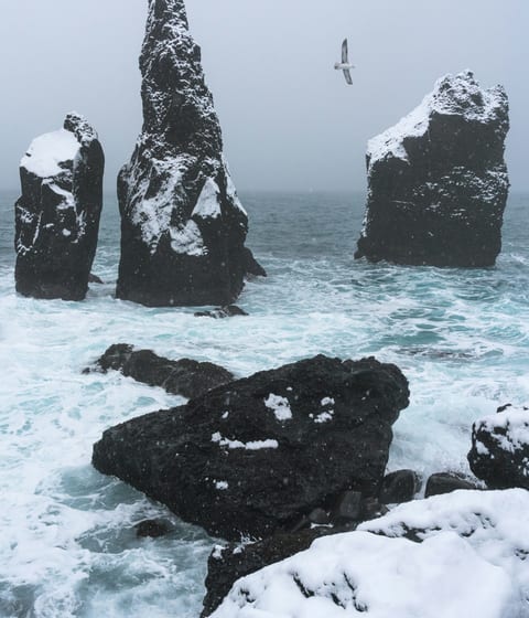 Reykjanes coastline