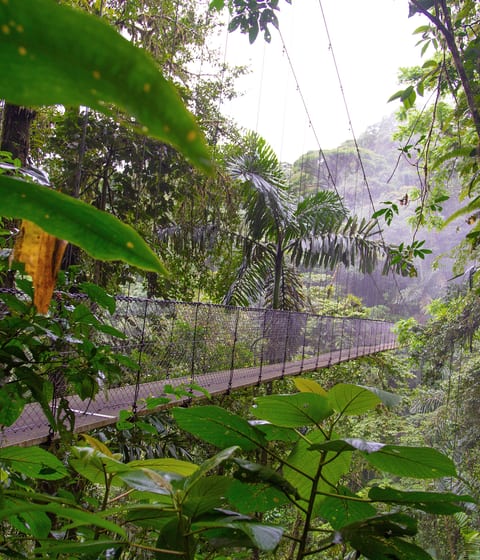 Bridge in Arenal Nartional Park in costa rica