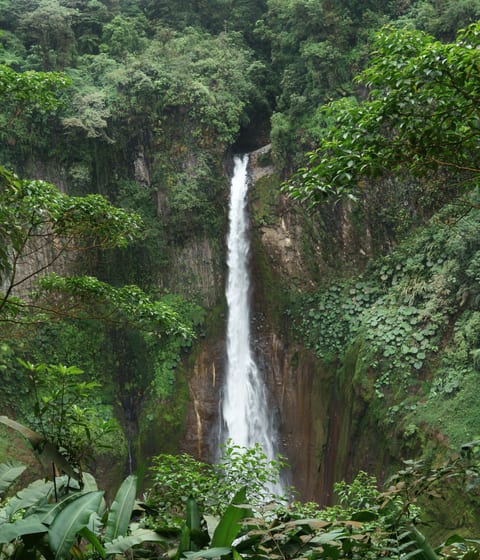 Rainforest-La-Fortuna-Waterfall--Alajuela-Province-Costa-Rica