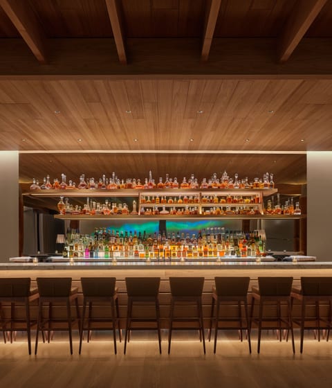 The Reykjavik EDITION hotel bar in Iceland