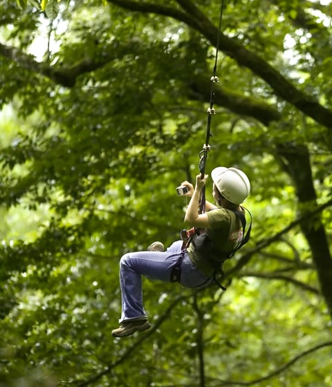 Zip Line in costa rica