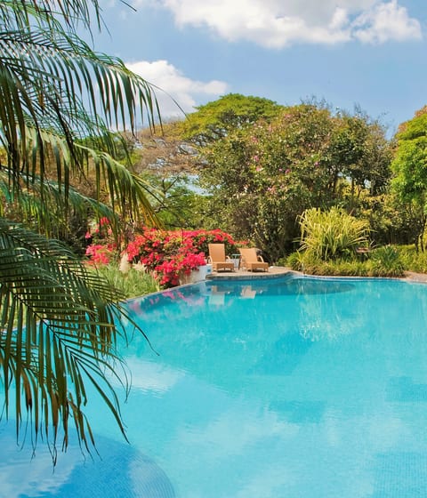 Finca Rosa Blanca pool in san jose in costa rica