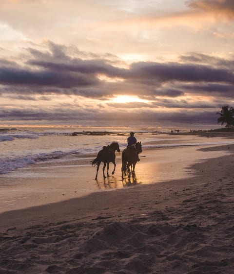 horse-riding-in-costa-rica