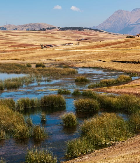 huaypo-lagoon-shore-landscape-peru