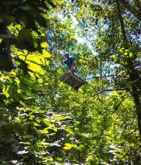 pacuare-lodge-canopy-tour in costa rica