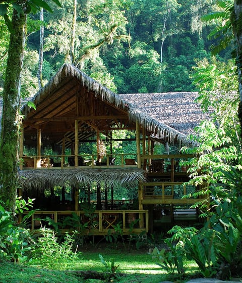 pacuare-lodge-path-jungle-scenery-setting-location-exterior-architecture in costa rica