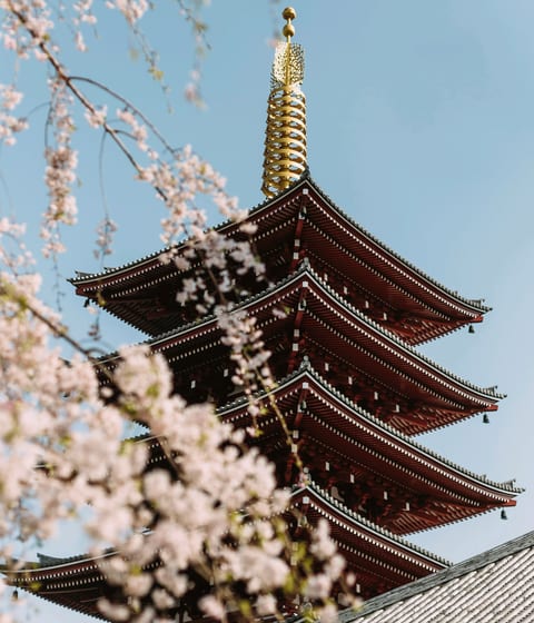 sensoji-temple-in-japan