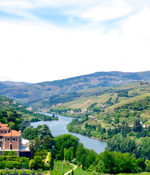Six Senses Douro Valley hotel exterior panorama view setting location scenery landscape in portugal