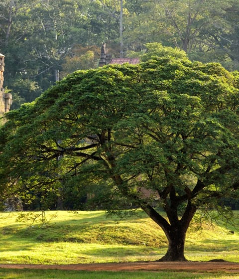 Prasat Suor Prat temple at Angkor Thom in cambodia