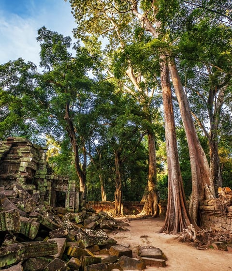 Angkor wat temple jungle ruins in cambodia