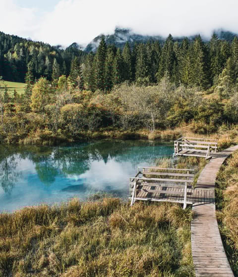Lake Zelenci