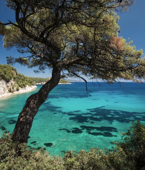 Alonissos, Greece