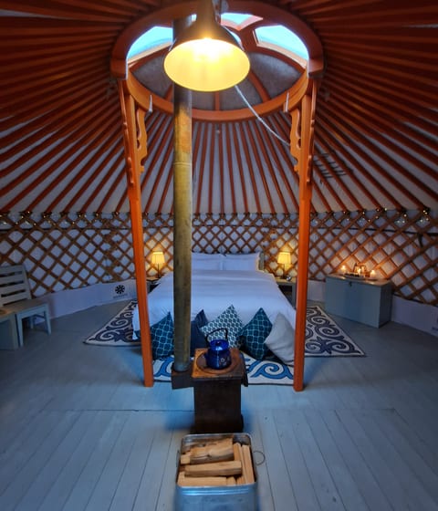 mongolian yurt interior in mongolia