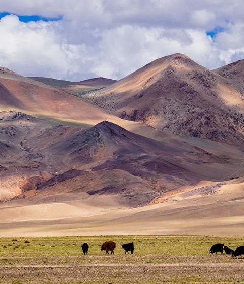 altai mountains in mongolia