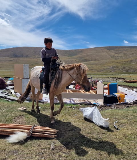 nomad family moving camp in mongolia