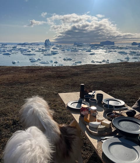 outdoor lunch at camp saqqaq in disko bay in greenland