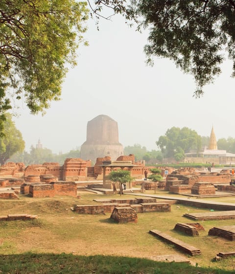 sarnath in varanasi in india
