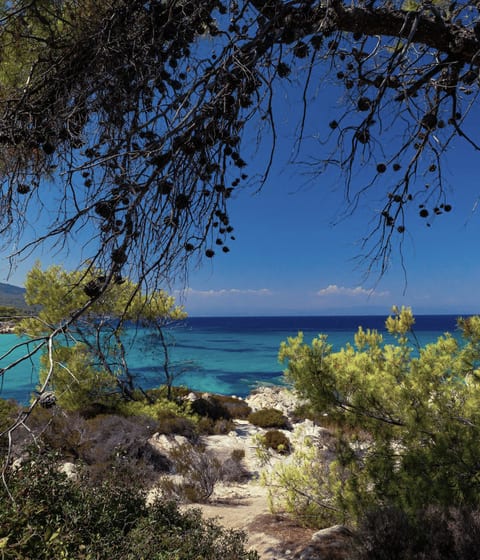 Sithonia Peninsula Greece