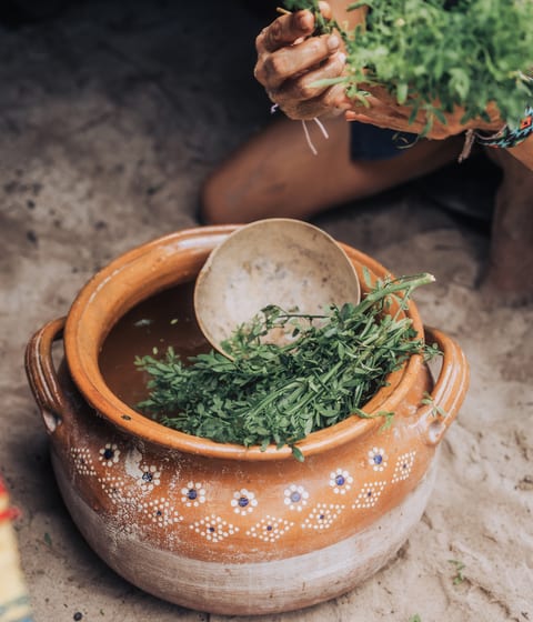 Temazcal experience Chile