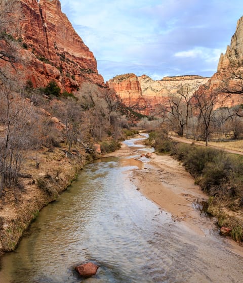 canyon in the narrows in zion in utah in usa