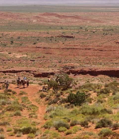 horseriding in canyon point in utah in usa