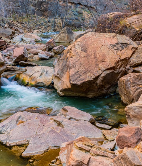 narrows of the virgin river in zion in utah in usa