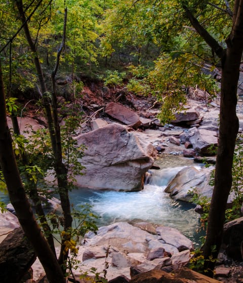 virgin river gorge in springdale in utah in usa