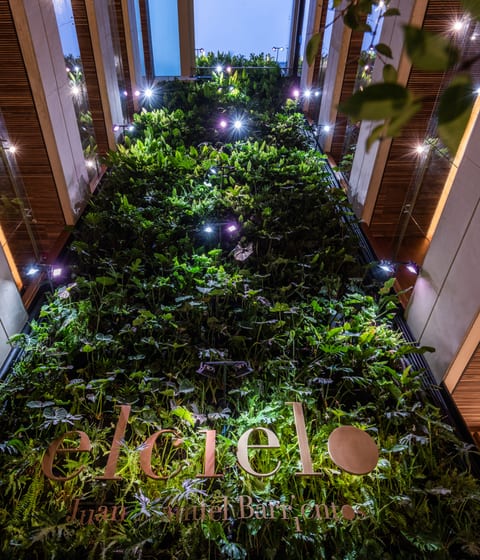 Elcielo Muro Verde