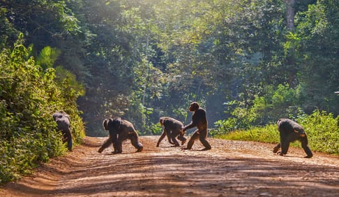 Uganda