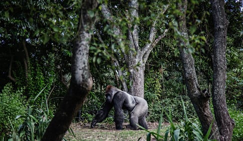 Holidays in Rwanda