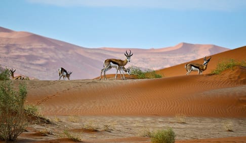 Where to go on holiday in July: Namibia