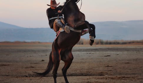 Cowboy horseback riding, luxury vacations