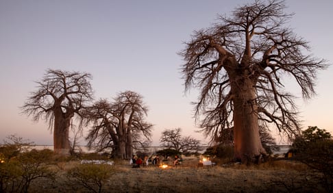 See You in the Moment, Luxury Group Travel, Black Tomato