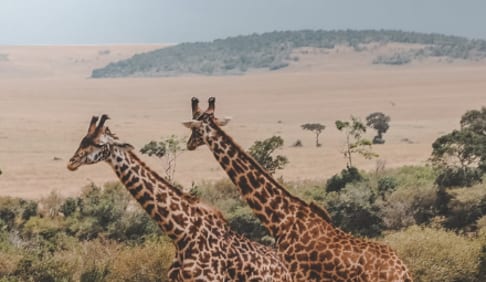 Luxury Travel Kenya, Most Popular