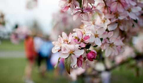Spring Family Travel