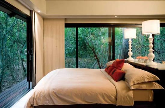Phinda Forest Lodge
