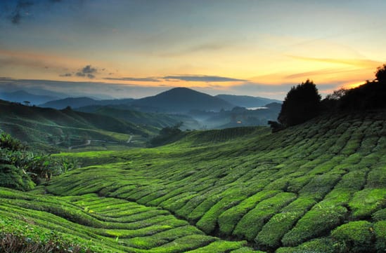 Luxury holidays in Malaysia