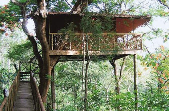 tree house, india