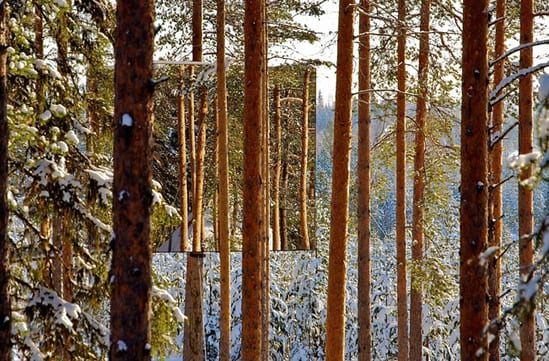 The incredible TreeHotel, Lulea