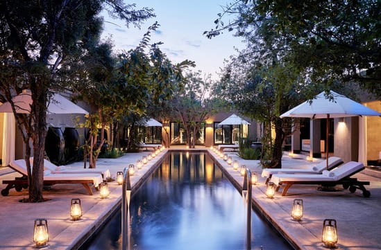 Royal Malewane | Luxury Hotels & Safari Lodges in South Africa