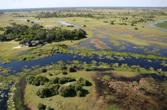 Selinda canoe trail Botswana