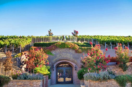 Explore the Vineyards at the Meritage Spa and Resort