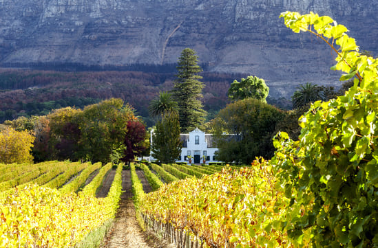 Cape Town
