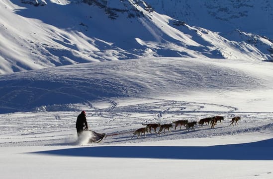 Dog sledding in Alaska
