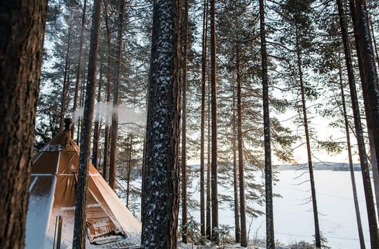 Aurora Safari Camp